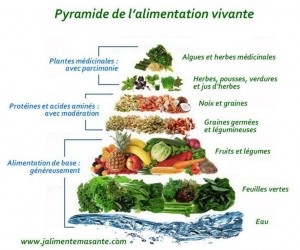 Pyramide de l'Alimentation Vivante