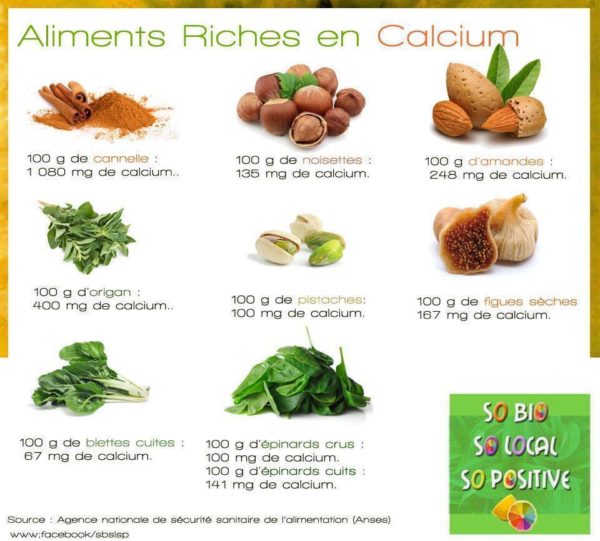Aliments Riches en Calcium