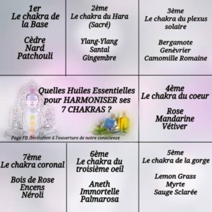 Huiles Essentielles Pour Harmoniser Nos 7 Chakras