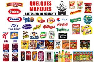 Produits Monsanto : Les Marques de Consommation Courante à Eviter