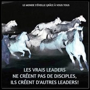 Les Vrais Leaders