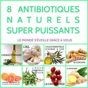 8 Antibiotiques Naturels