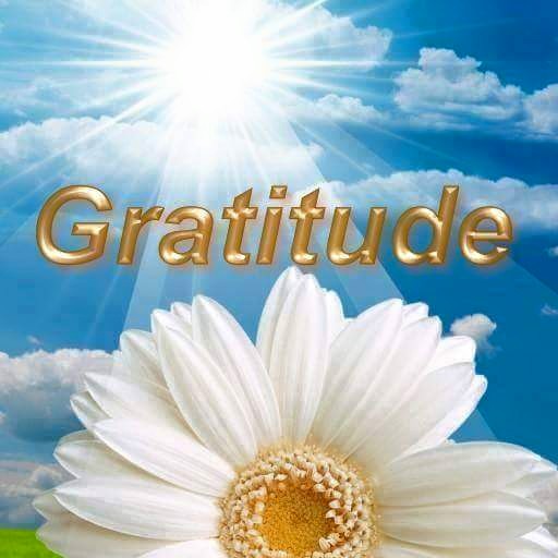 La Gratitude Est La Cle De L Abondance Soriah Amahom Com