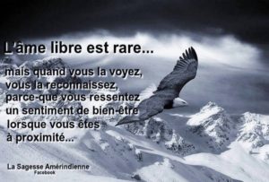 L'Âme Libre Est Rare...