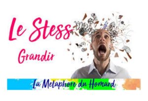 Le Stress - La Métaphore du Homard