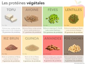 Les Protéïnes Végétales