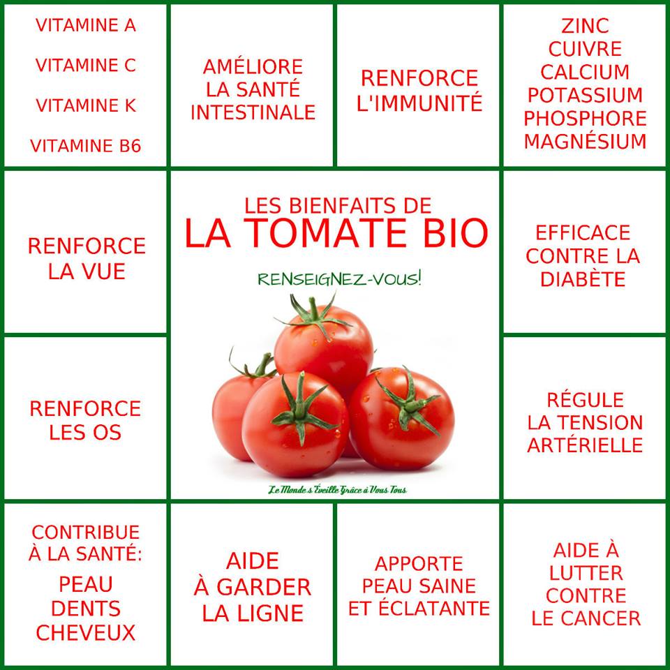 Fiche Tomate Conservation Bienfaits Valeurs Nutritionnelles De La Hot Sex Picture 