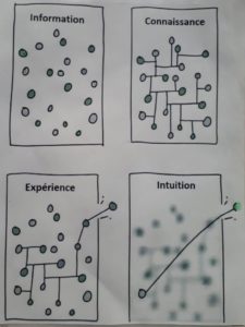 Information - Connaissance - Expérience - Intuition