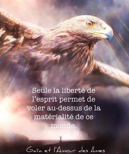 Seule La Liberte De L Esprit Soriah Amahom Com