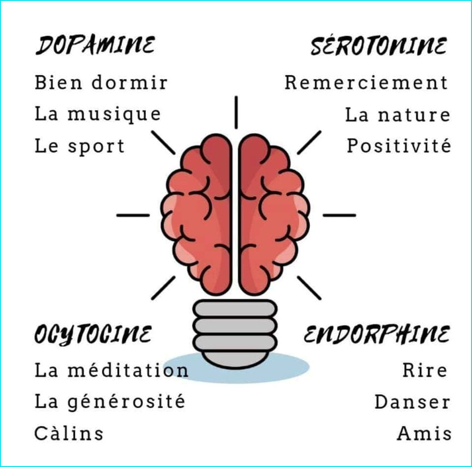 Les Hormones Du Bonheur Soriahamahomcom