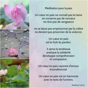 Méditation Pour La Paix